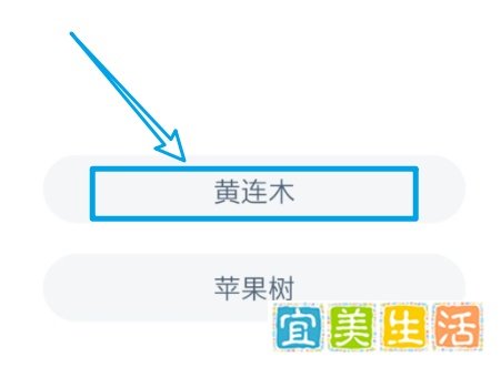 结子榨油驱动力他年还立柱石功咏叹的树蚂蚁新村