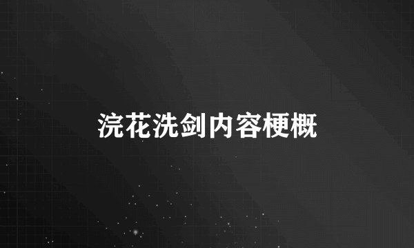 浣花洗剑内容梗概