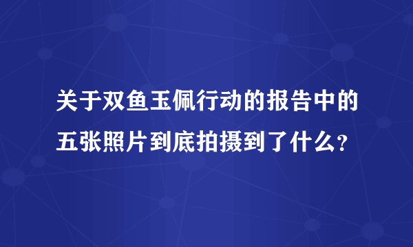 关于双鱼玉佩行动的报告中的五张照片到底拍摄到了什么？