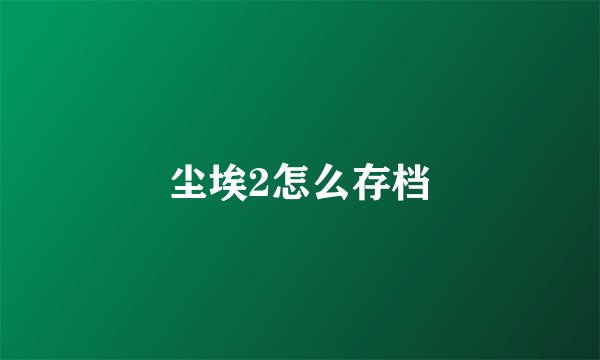 尘埃2怎么存档