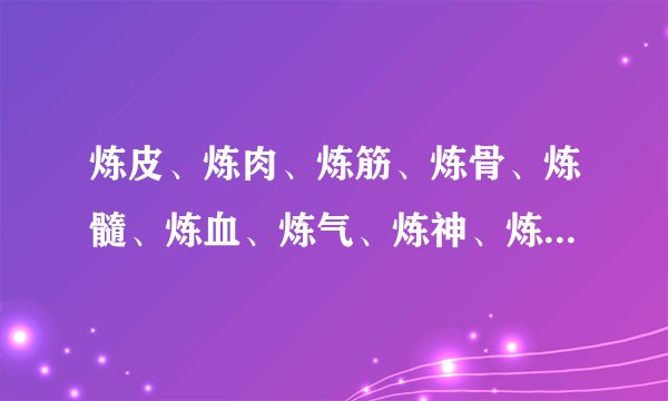 炼皮、炼肉、炼筋、炼骨、炼髓、炼血、炼气、炼神、炼虚、炼魂？？