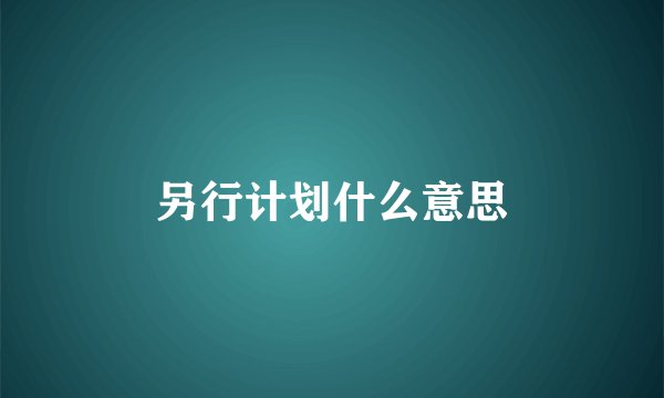 另行计划什么意思