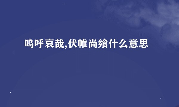 呜呼哀哉,伏帷尚飨什么意思
