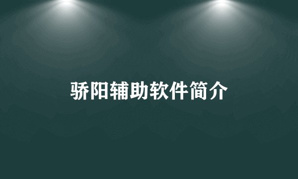 骄阳辅助软件简介