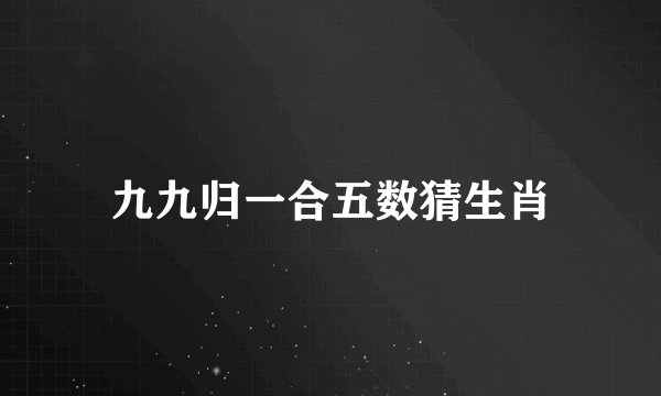 九九归一合五数猜生肖