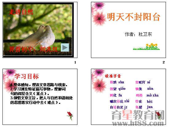 明天不封阳台的文章结构