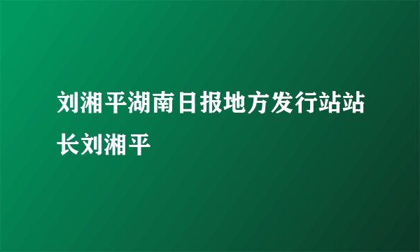 刘湘平湖南日报地方发行站站长刘湘平