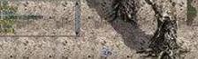 神泪七大职业一转简明攻略
