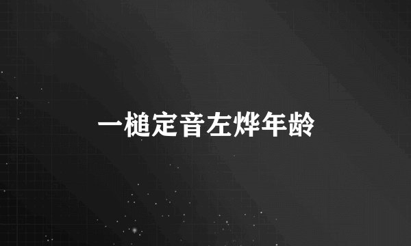 一槌定音左烨年龄