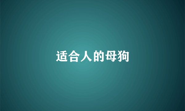 适合人的母狗