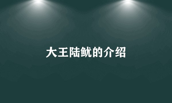 大王陆鱿的介绍