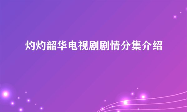 灼灼韶华电视剧剧情分集介绍