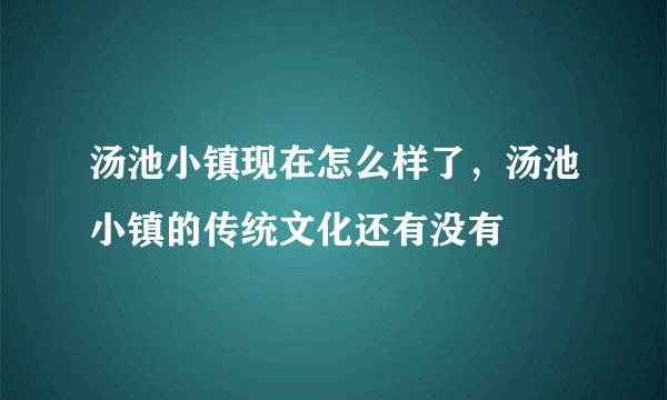 汤池小镇现在怎么样了，汤池小镇的传统文化还有没有