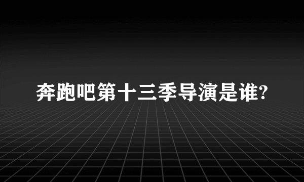 奔跑吧第十三季导演是谁?