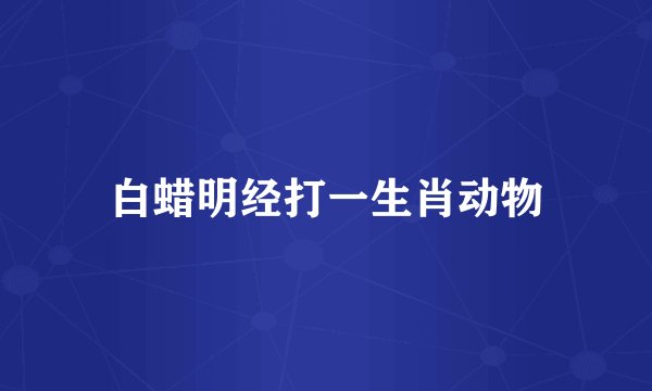 白蜡明经打一生肖动物