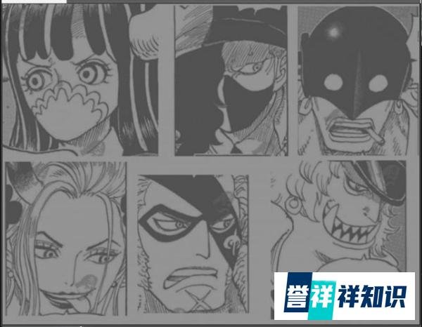 【海贼王】第978话情报:凌空六子全员登场,两大美女颜值赶超日和!