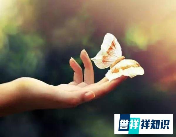 到底什么是命？
