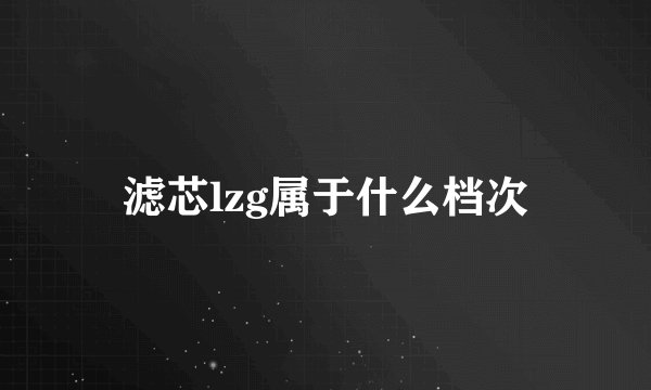 滤芯lzg属于什么档次