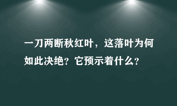 一刀两断秋红叶，这落叶为何如此决绝？它预示着什么？
