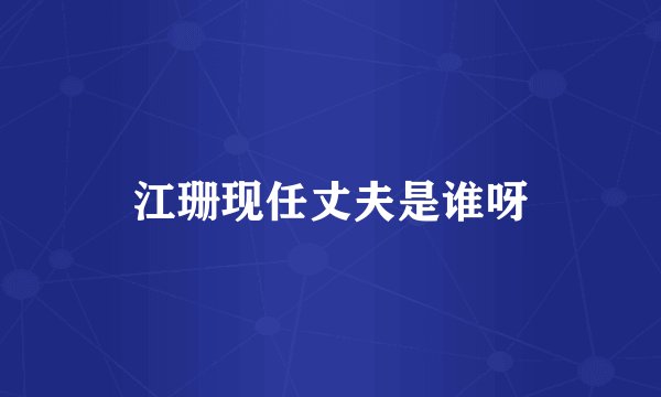 江珊现任丈夫是谁呀
