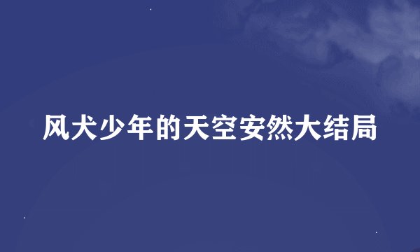 风犬少年的天空安然大结局