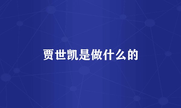 贾世凯是做什么的
