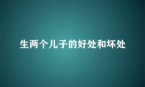 生两个儿子的好处和坏处