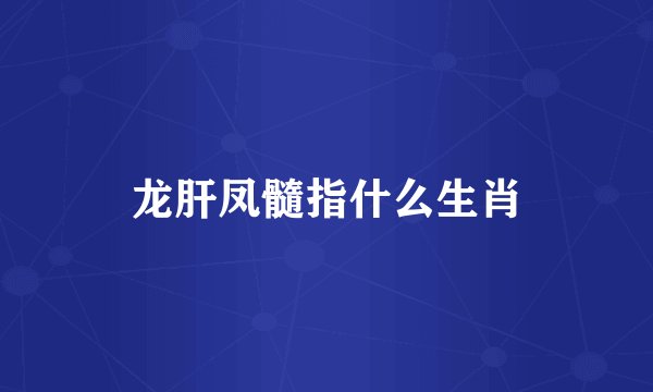 龙肝凤髓指什么生肖