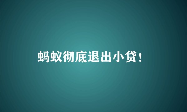 蚂蚁彻底退出小贷！