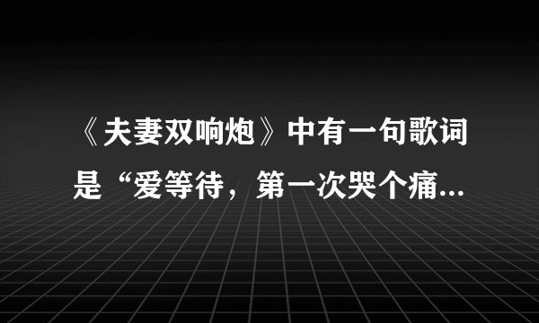 《夫妻双响炮》中有一句歌词是“爱等待，第一次哭个痛快…”这是什么哥啊