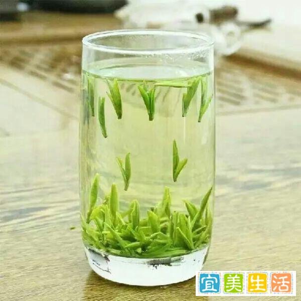 茅山白茶属于什么茶 茅山白茶怎么泡好喝