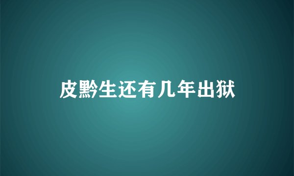 皮黔生还有几年出狱