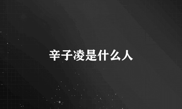 辛子凌是什么人