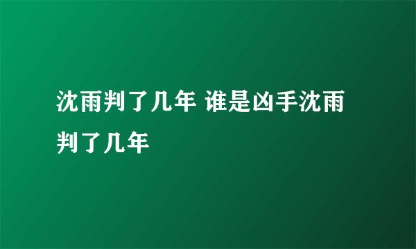 沈雨判了几年 谁是凶手沈雨判了几年