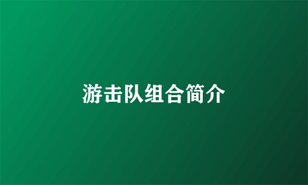 游击队组合简介