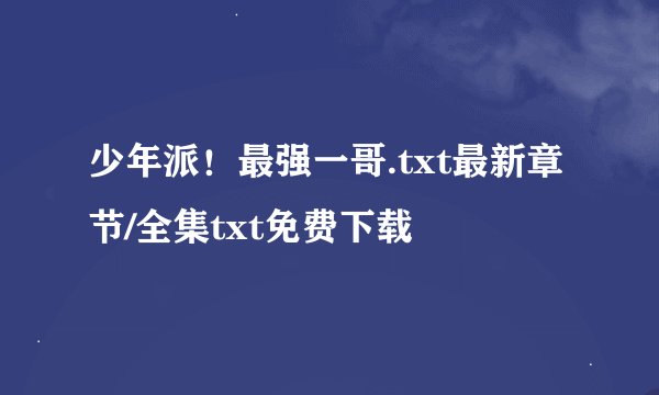 少年派！最强一哥.txt最新章节/全集txt免费下载