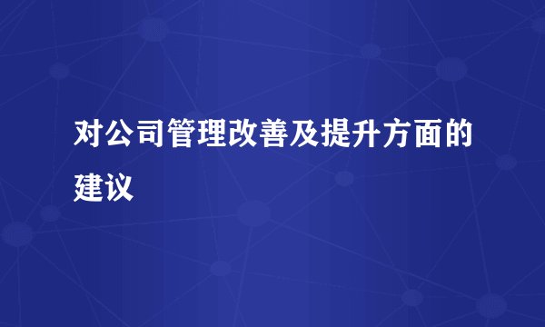 对公司管理改善及提升方面的建议