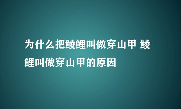 为什么把鲮鲤叫做穿山甲 鲮鲤叫做穿山甲的原因