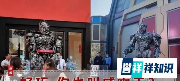 网红威震天频遭