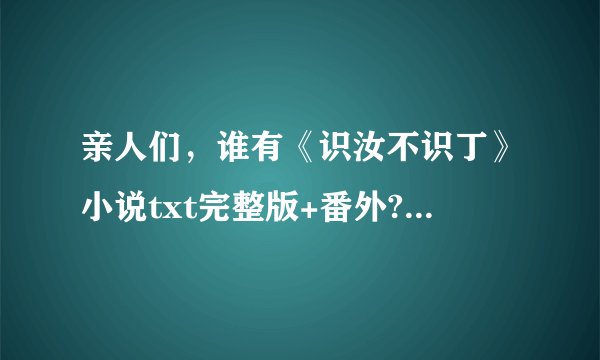 亲人们，谁有《识汝不识丁》小说txt完整版+番外?提供一下，谢谢！