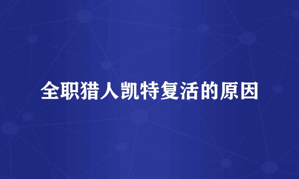 全职猎人凯特复活的原因
