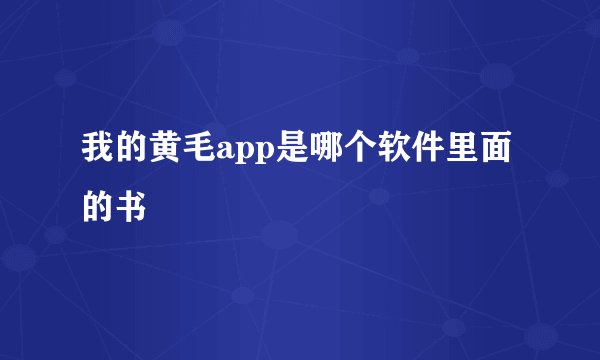 我的黄毛app是哪个软件里面的书