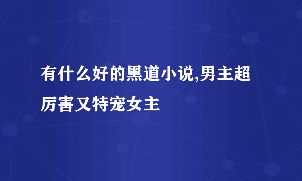 有什么好的黑道小说,男主超厉害又特宠女主