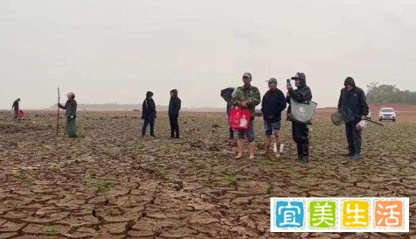 鄱阳湖干枯，20人自费转运上万斤，真正的慈善不需要仪式
