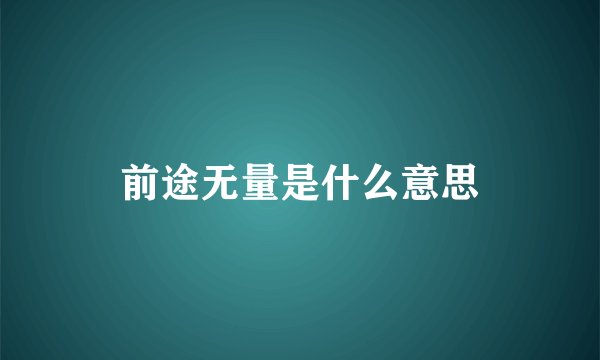 前途无量是什么意思