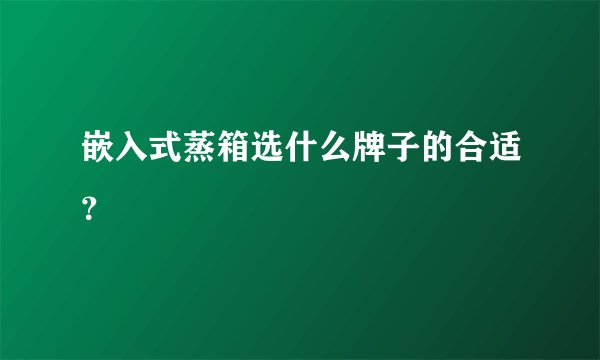 嵌入式蒸箱选什么牌子的合适？