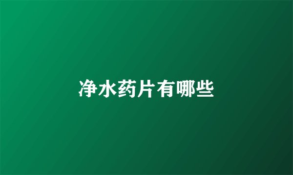 净水药片有哪些