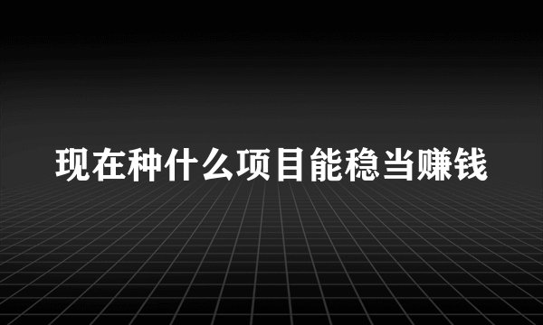 现在种什么项目能稳当赚钱