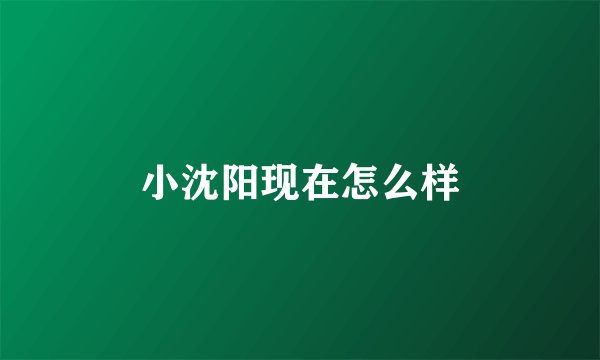 小沈阳现在怎么样