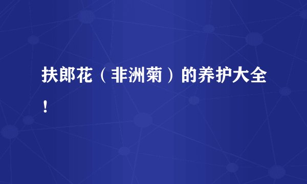 扶郎花（非洲菊）的养护大全！